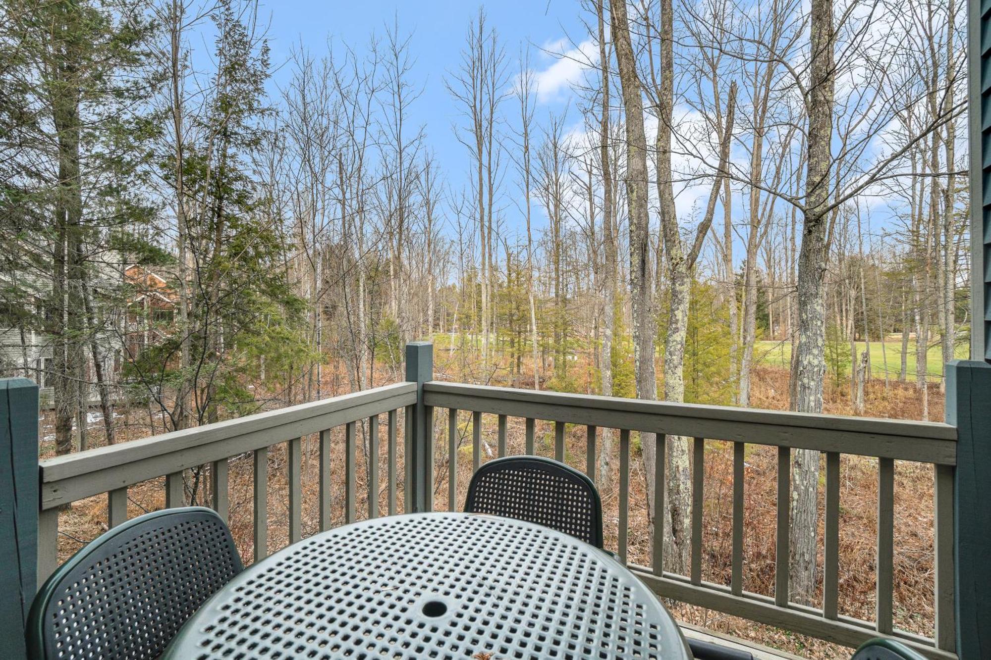 Wintergreen Condos Thompsonville Habitación foto