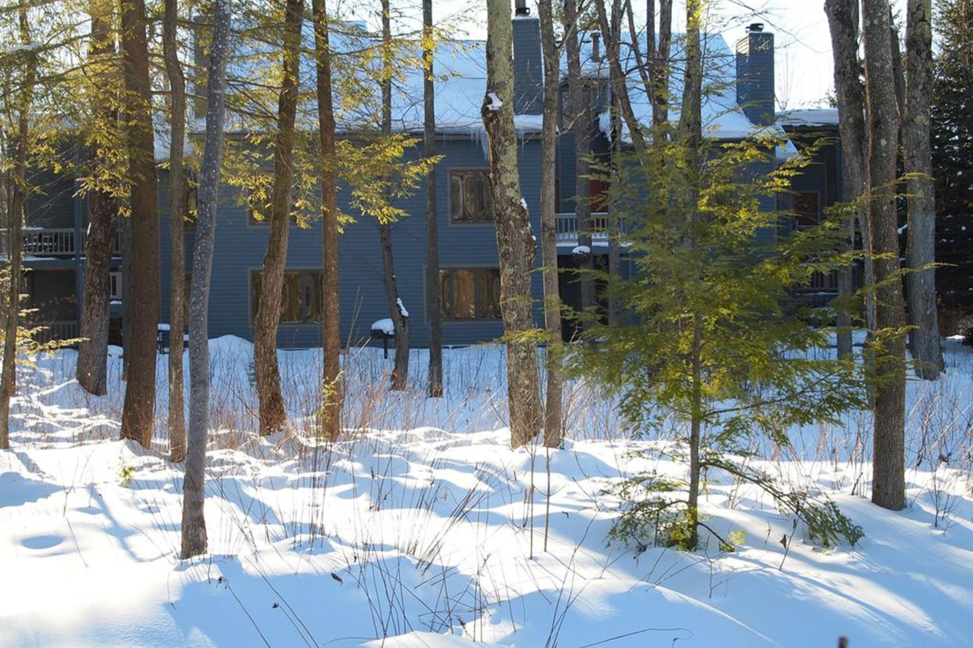 Wintergreen Condos Thompsonville Habitación foto